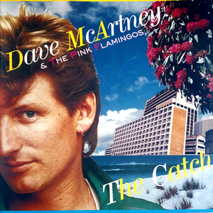Dave McArtney & The Pink Flamingos: The Catch