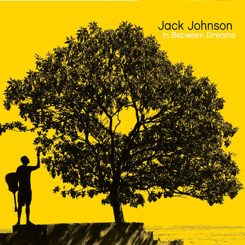 Jack Johnson: In Between Dreams