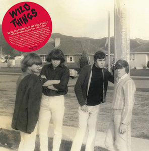 Wild Things (New Zealand Freakbeat 1966-1968)