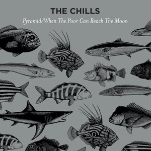 The Chills: Pyramind / When The Poor Can Reach The Moon